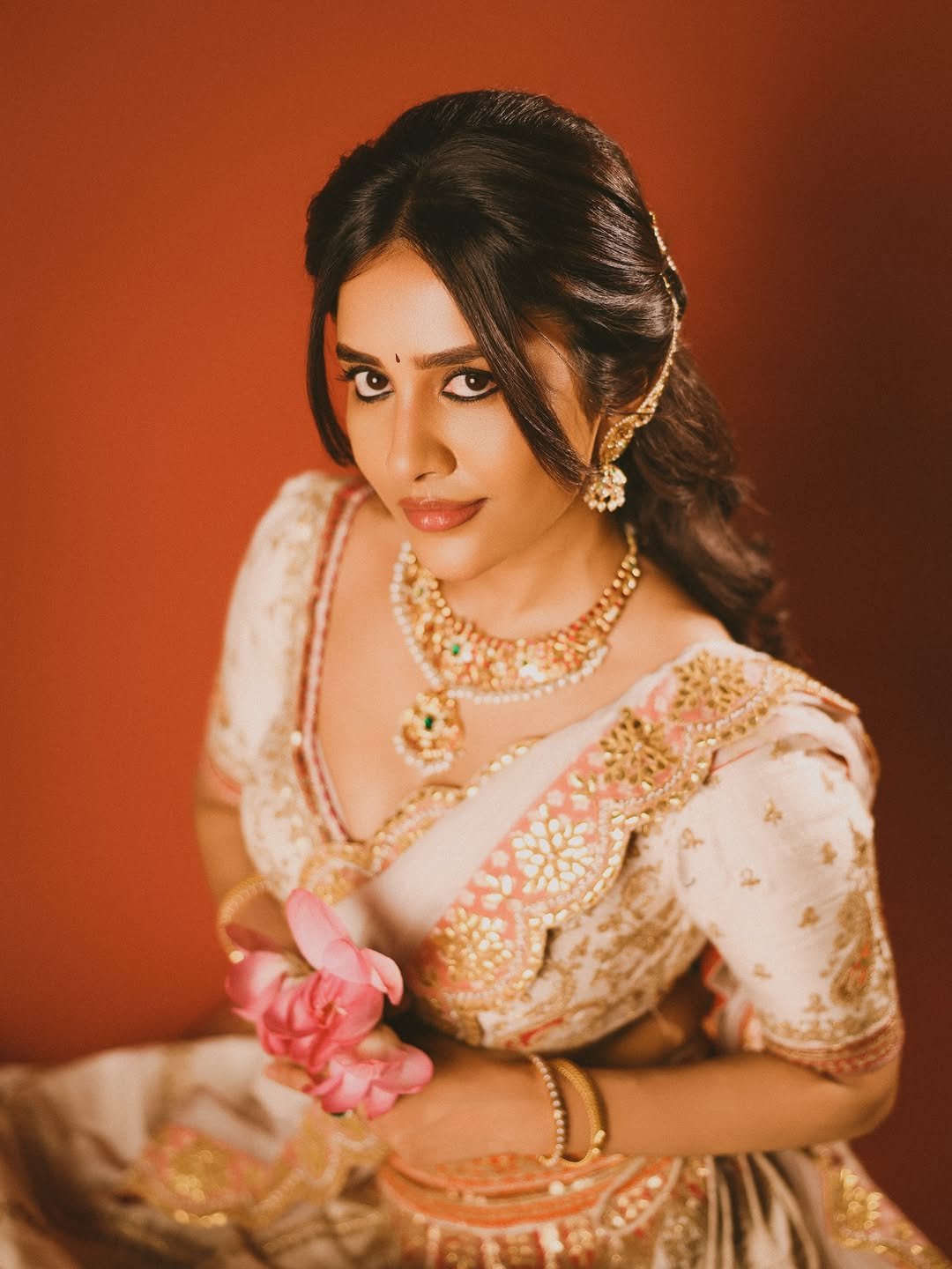 Actress Nabha natesh photo gallery